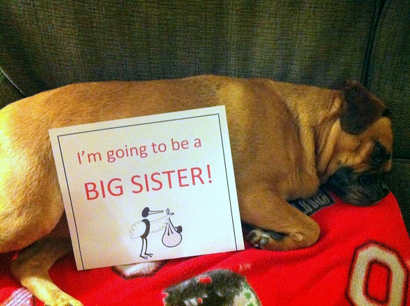 boof sister sign