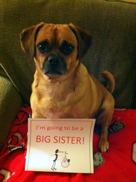 boof sister